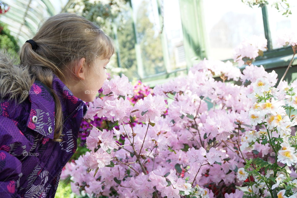 Sniffing the flowers 