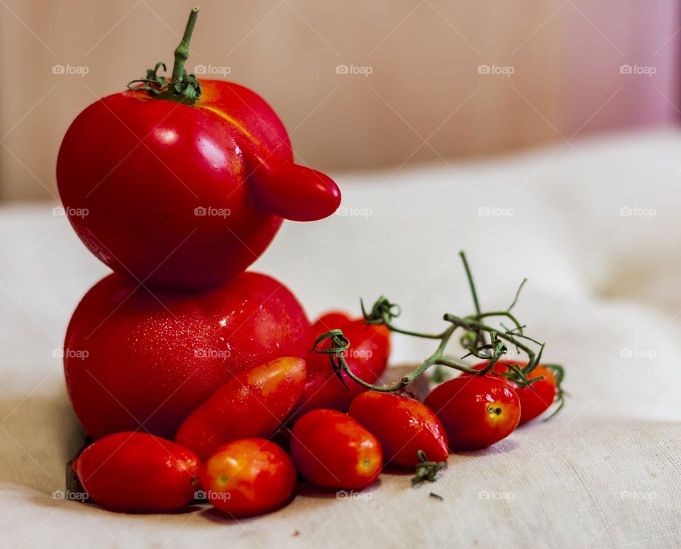 Tomato Family