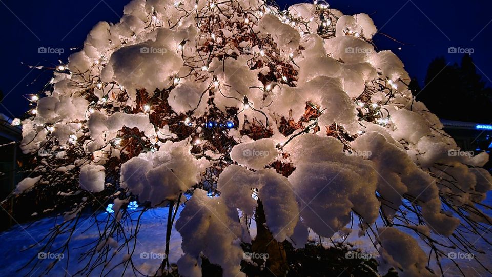 Christmas lights glow under a blanket of freshly fallen snow ❄️