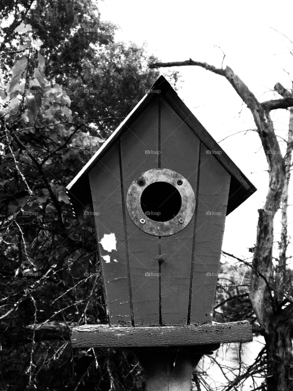 A close up of a bird house I found at an abandoned house in Northern Michigan 