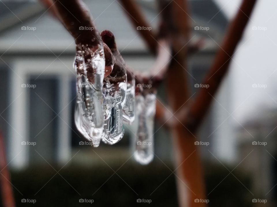 icicles.....