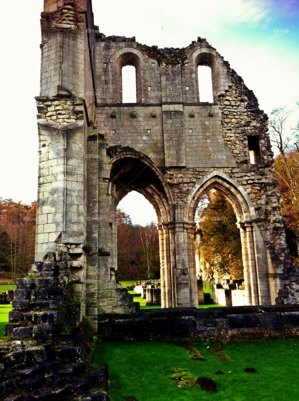 Roche abbey ruins