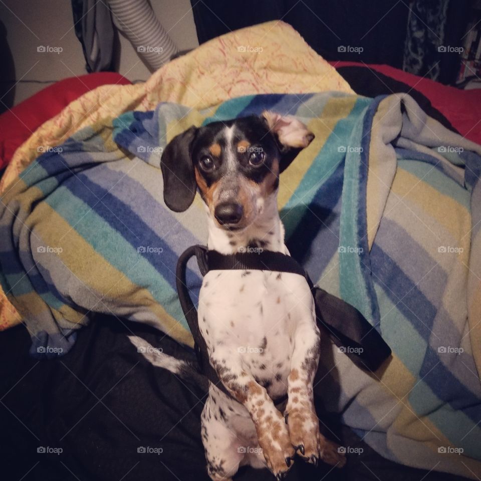 alright let's go! whose ready to go?