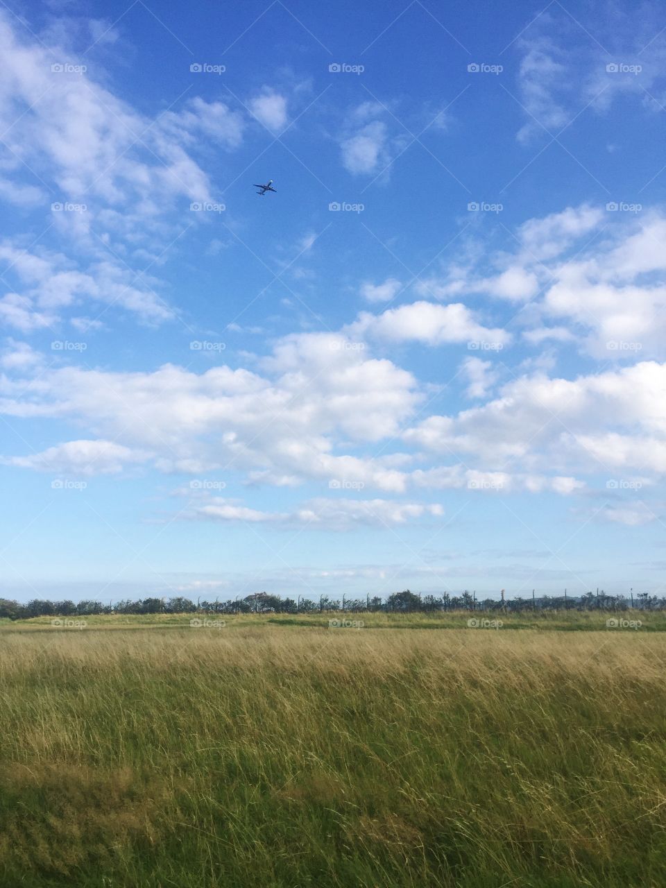 Landscape, Agriculture, No Person, Sky, Cropland