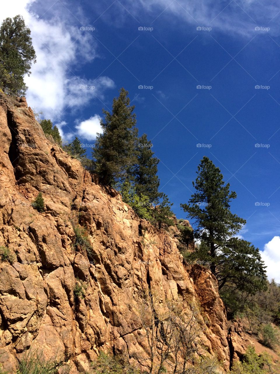 Colorado trail. Rocks and trees on a Colorado hiking trail