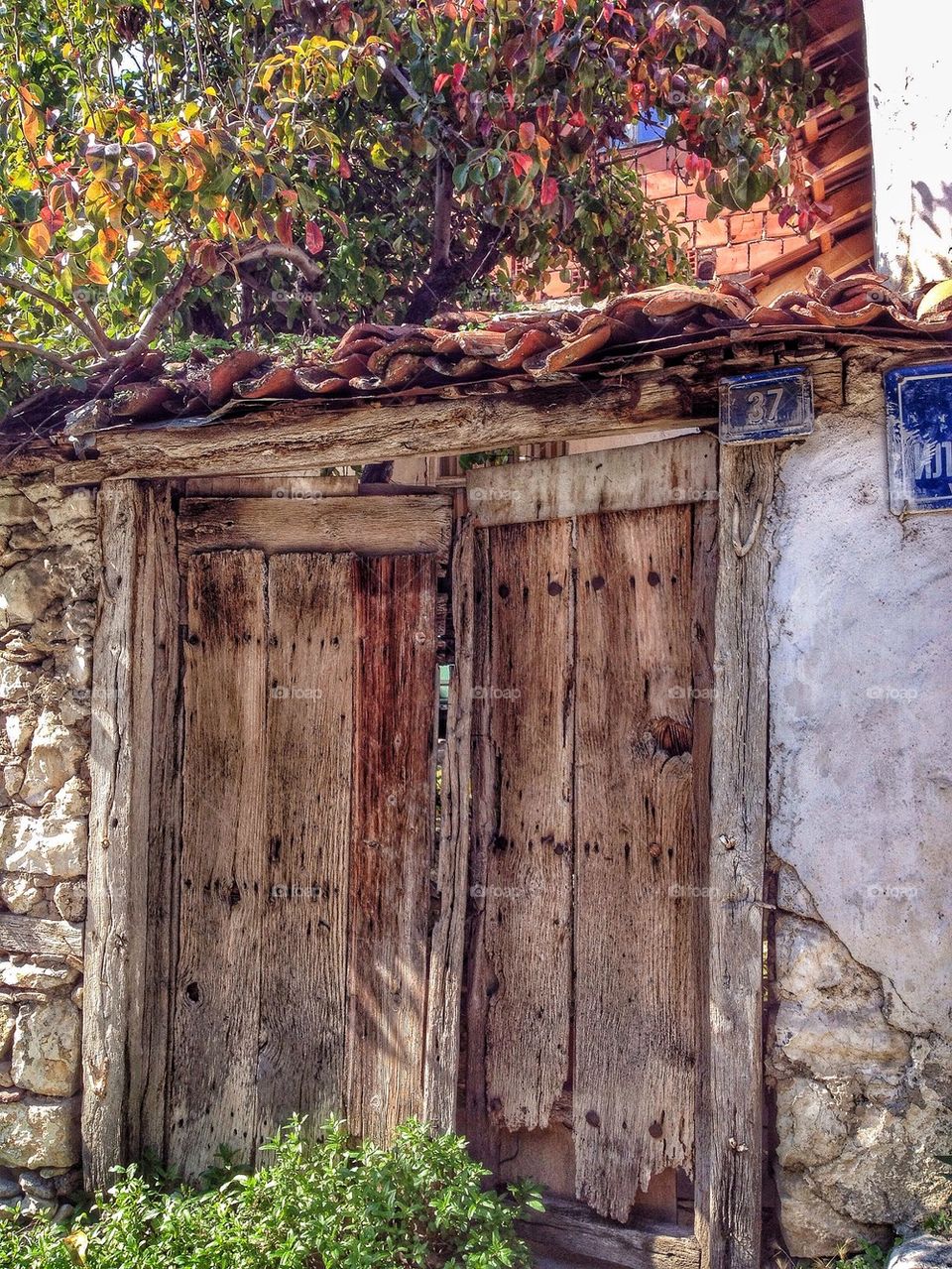 A gate to a garden