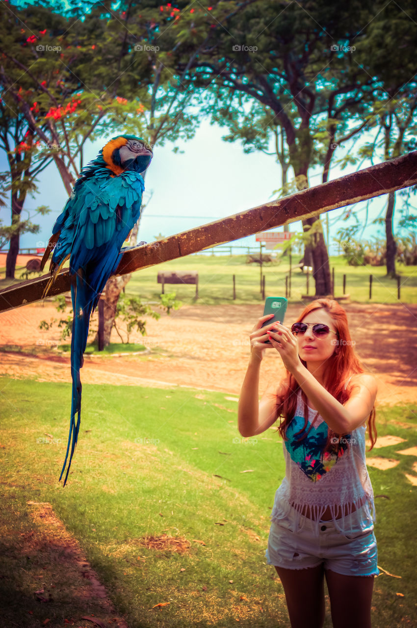 Shooting a blue parrot