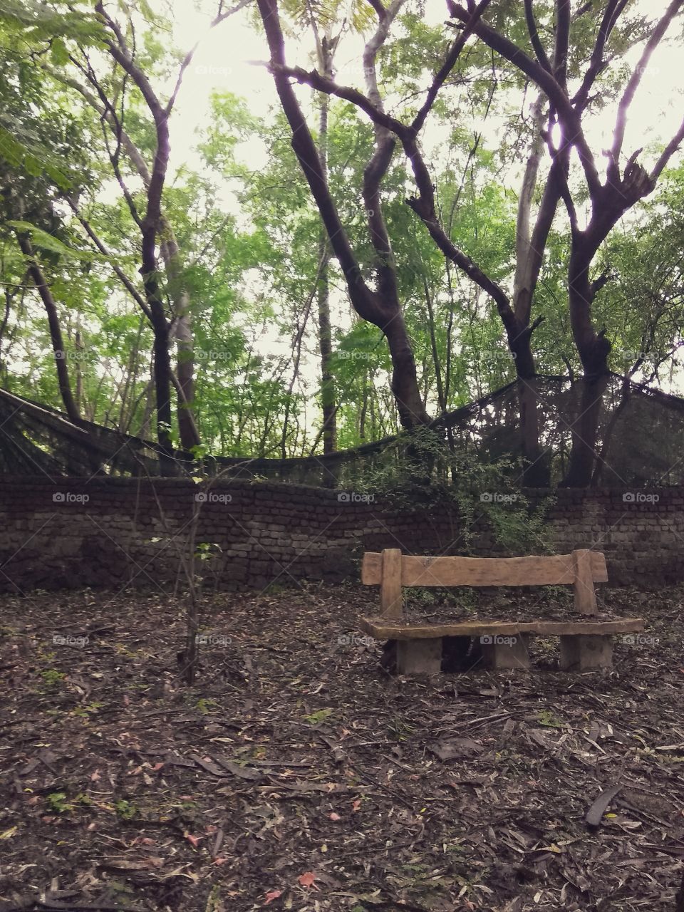 An old bench in a park