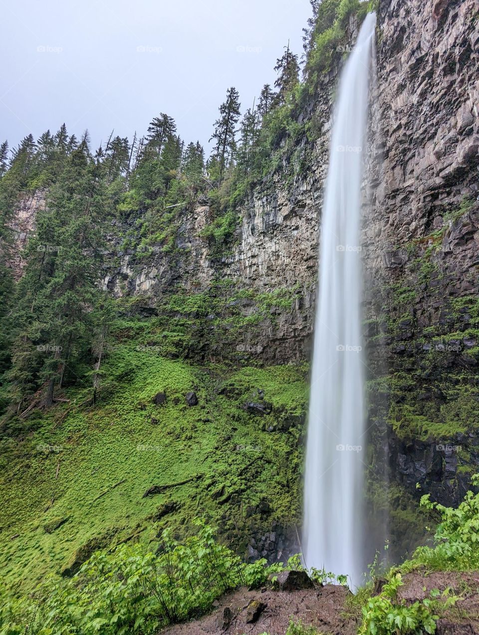 time lapse waterfall long exposure falls on the Pacific northwest long waterfall with mossy green foliage backdrop