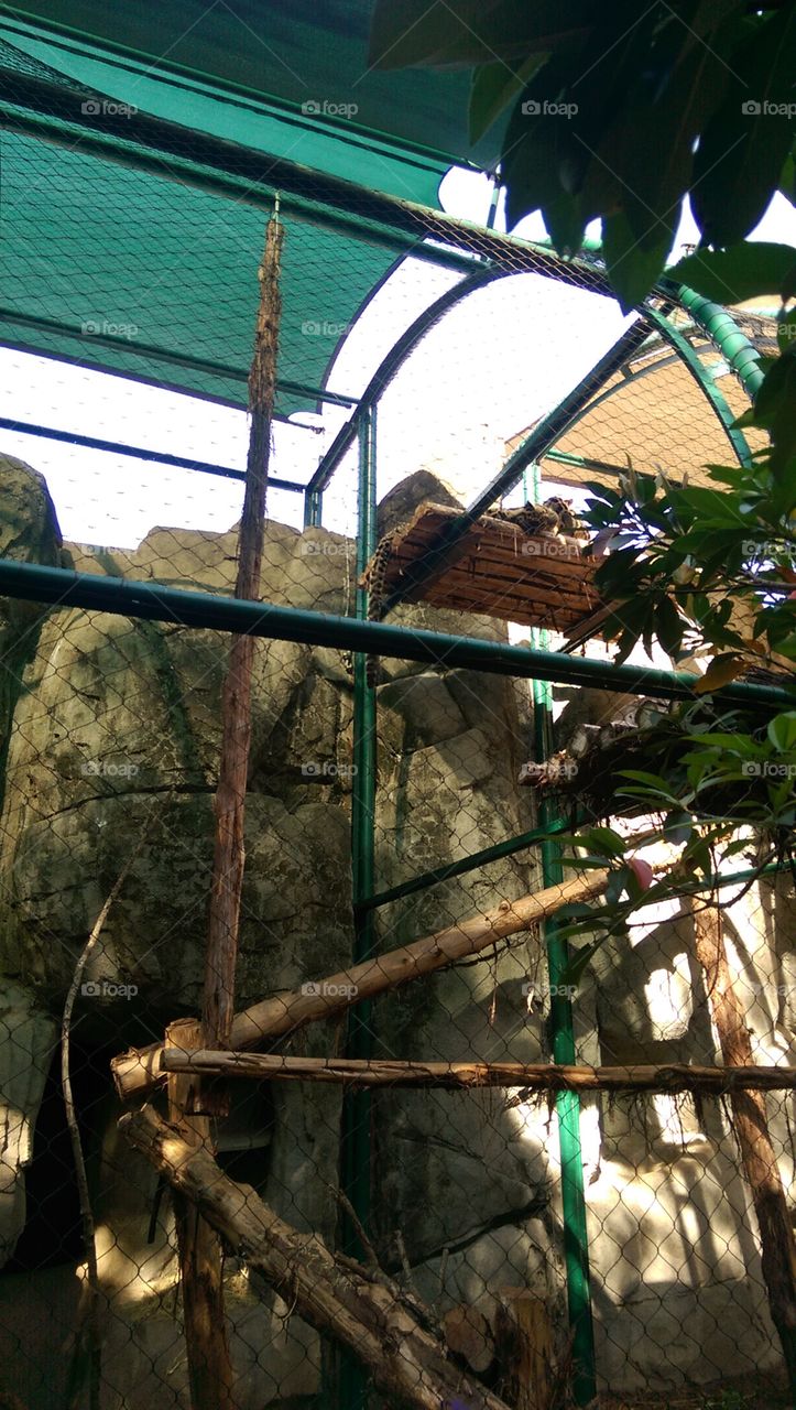 No Person, Wood, Tree, Nature, Outdoors