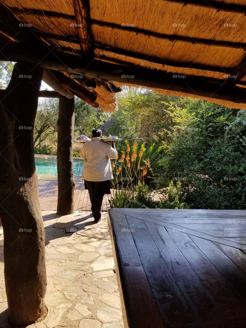 Server at safari lodge