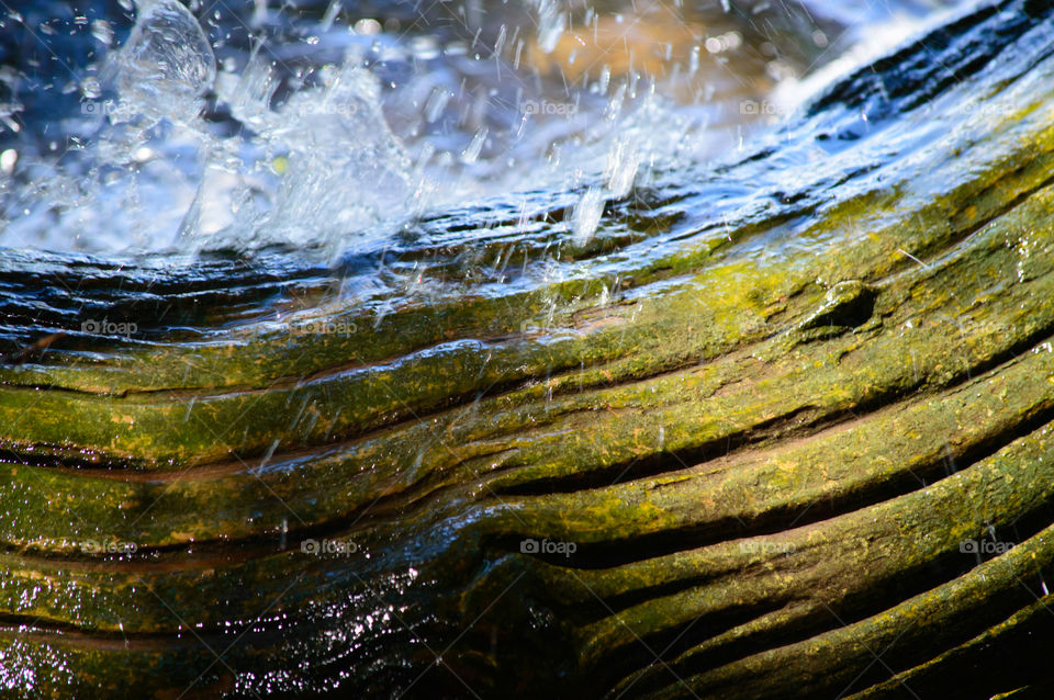 Powerful water splashing over Wood on tree branches at waters edge weathered with deep grooves and wet moss making it turn a beautiful green inspirational nature background photography