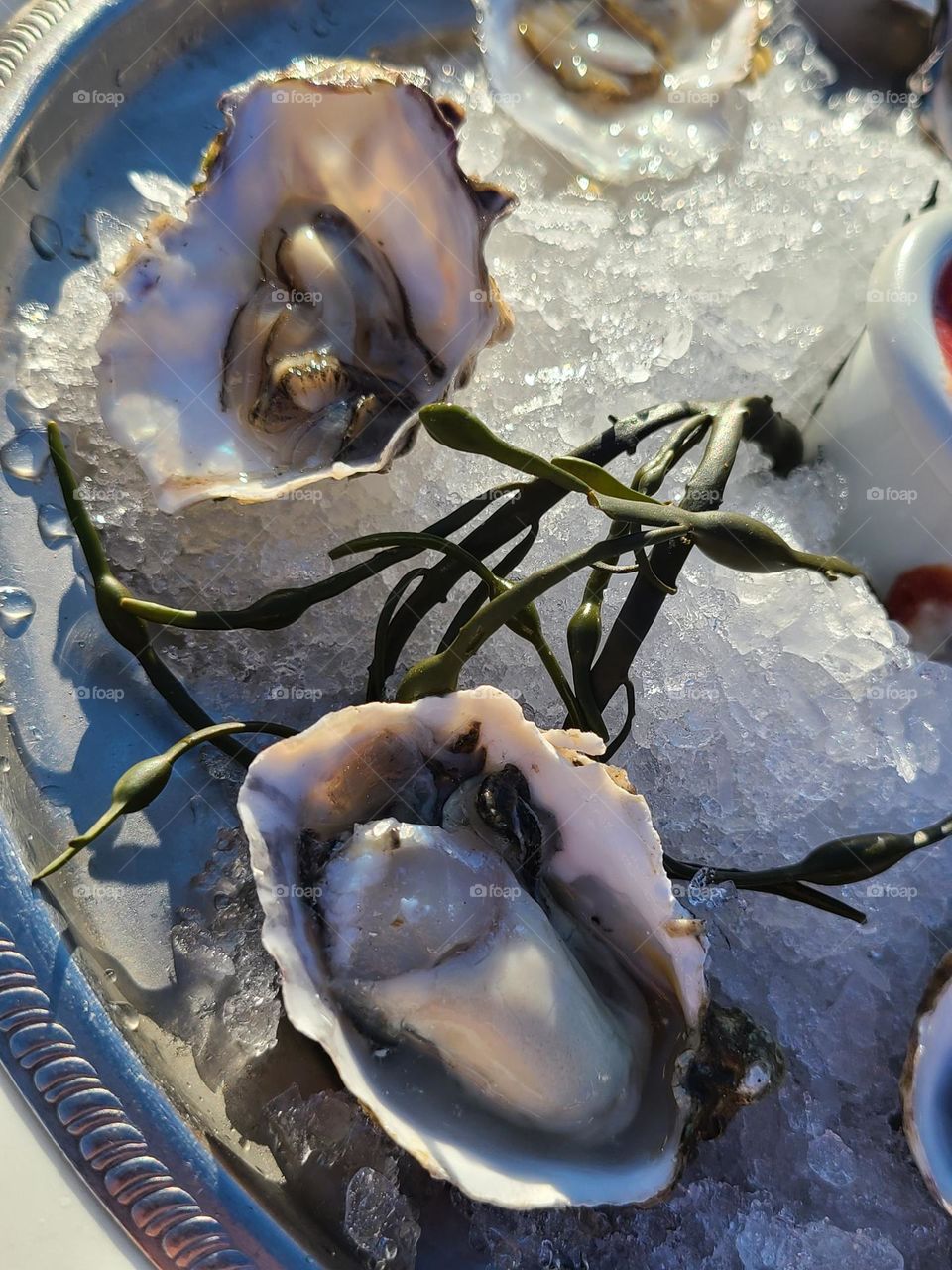 Scrumptious oysters on the half shell, on a bed of ice with seaweed, condiments 