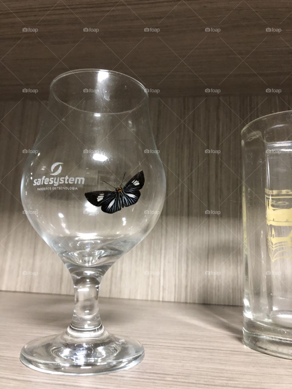 Borboleta do copo de vidro