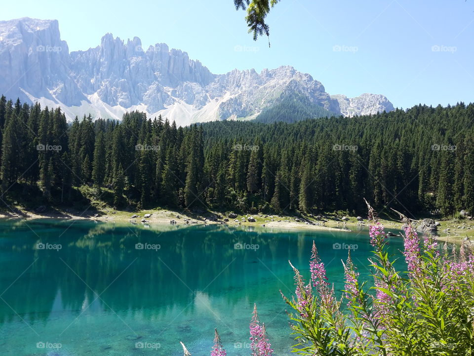 lago di carezza dolomiti