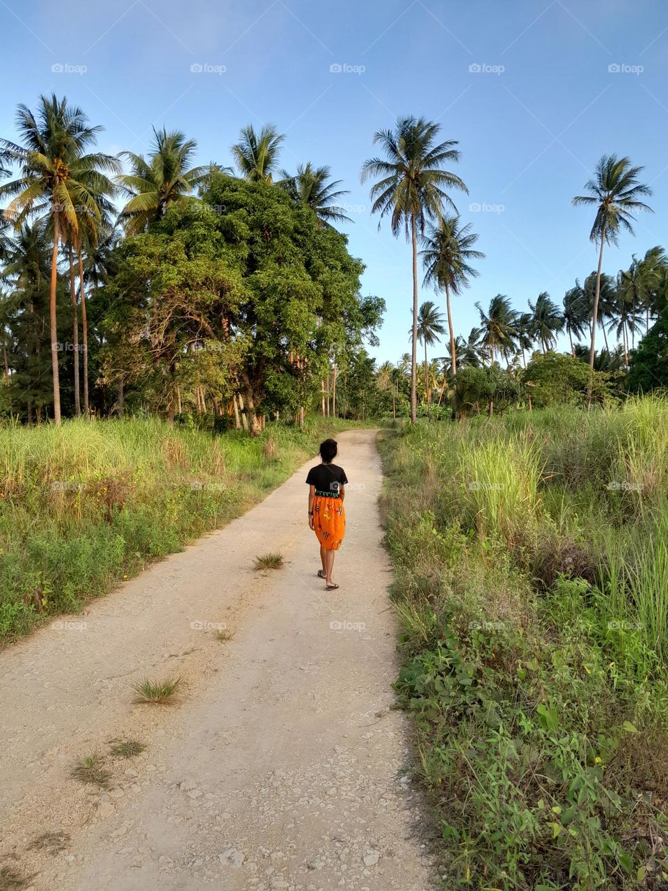 A view with beautiful palm trees on the road