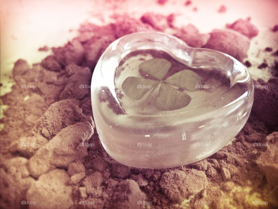 heart clover cocoa by juliar
