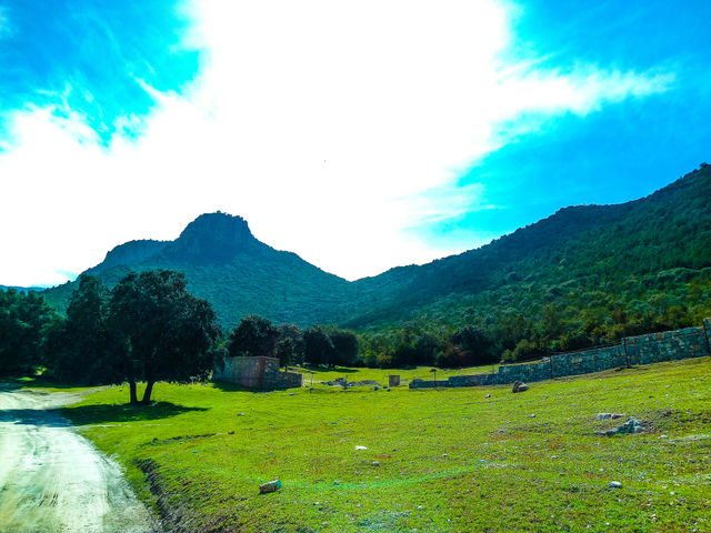 nature