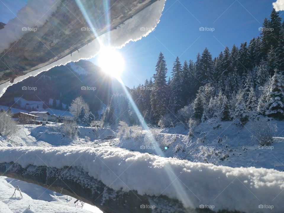 Winter dreams lands cap