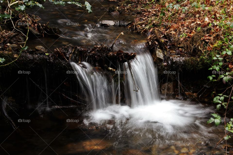 West Dart river