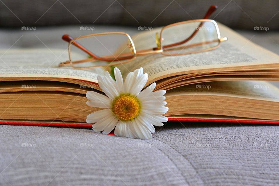 book with flower and glasses lifestyle