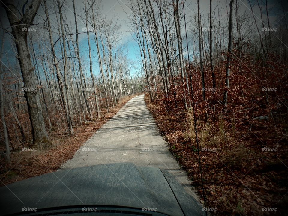 Drummond Island, Michigan 