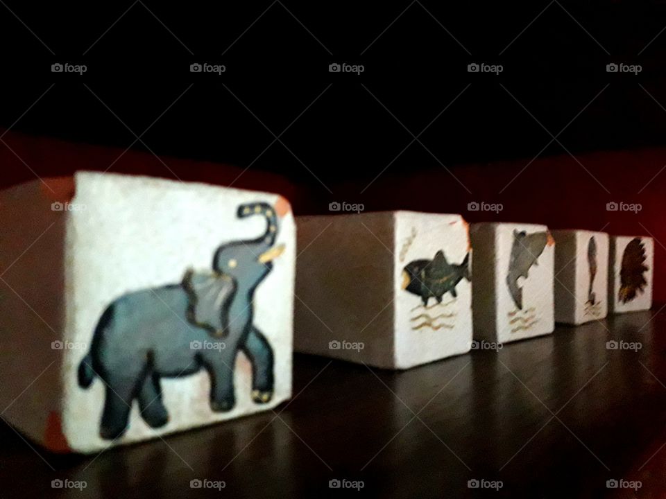 Cubes of animals