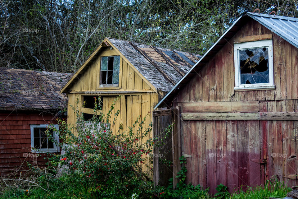 Shacks. Old shacks.