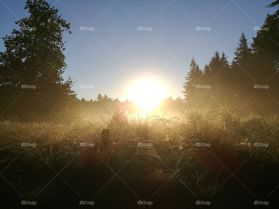 View of foggy sunrise
