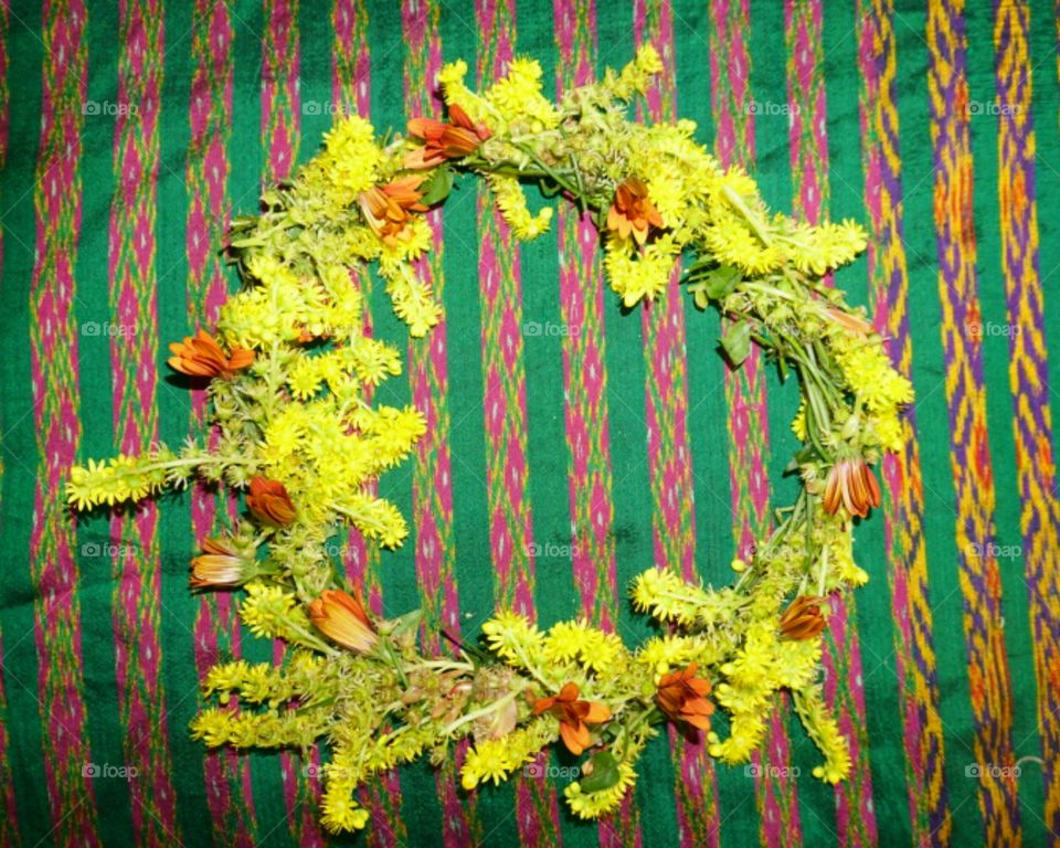 Flower Crown - Daisy with succulent flowers