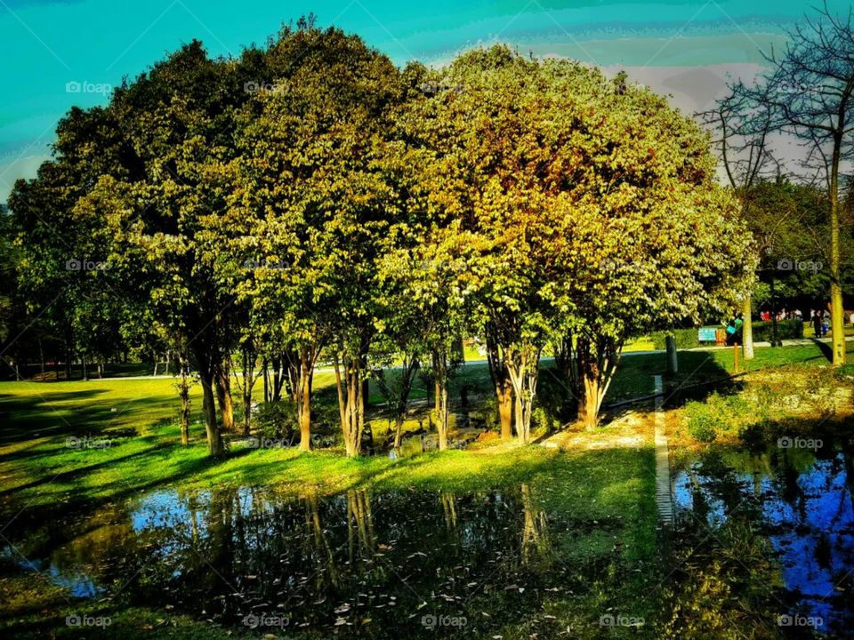 Go to the place you feel alive.