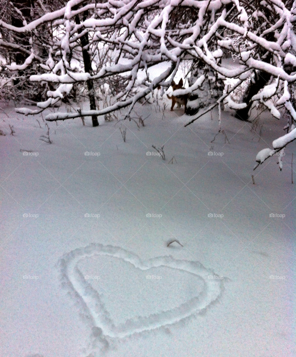 Winter heart