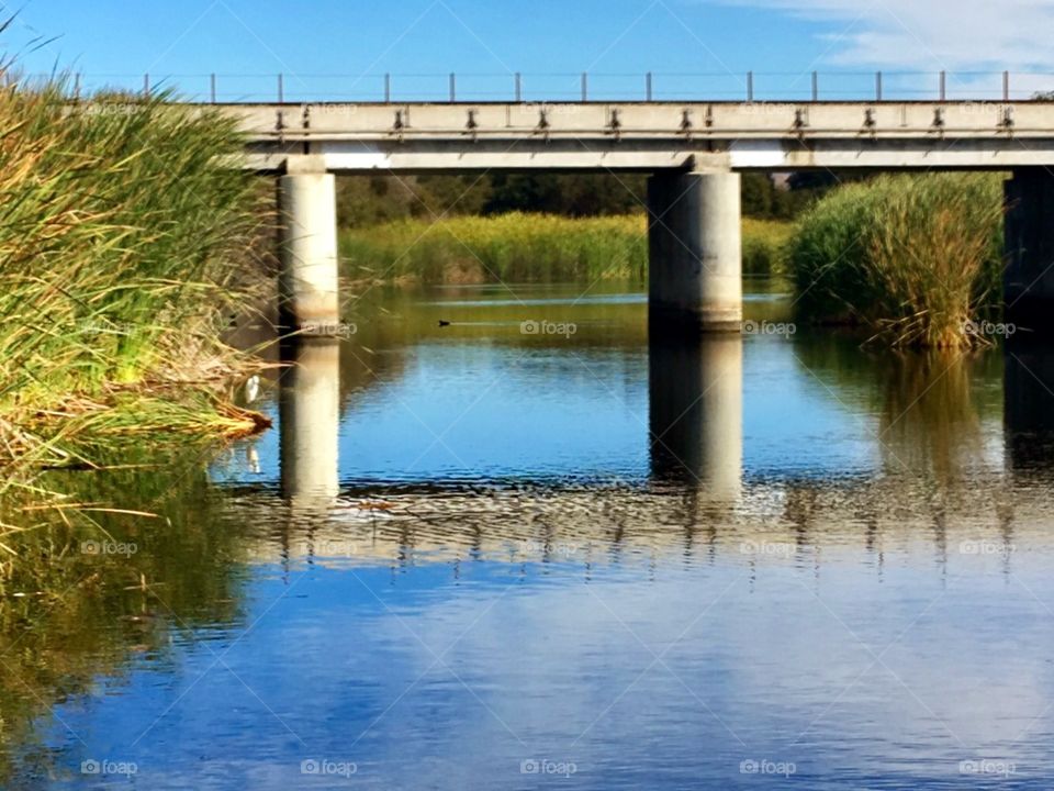 Dramatic Bridge Reflection 