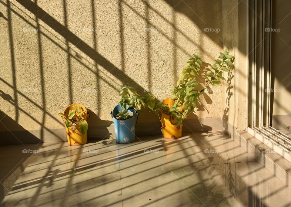 lines and shapes formed by morning sunlight...