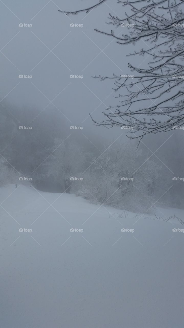 black and white . our climb was 1000 steps from the snow but it was just an uphill