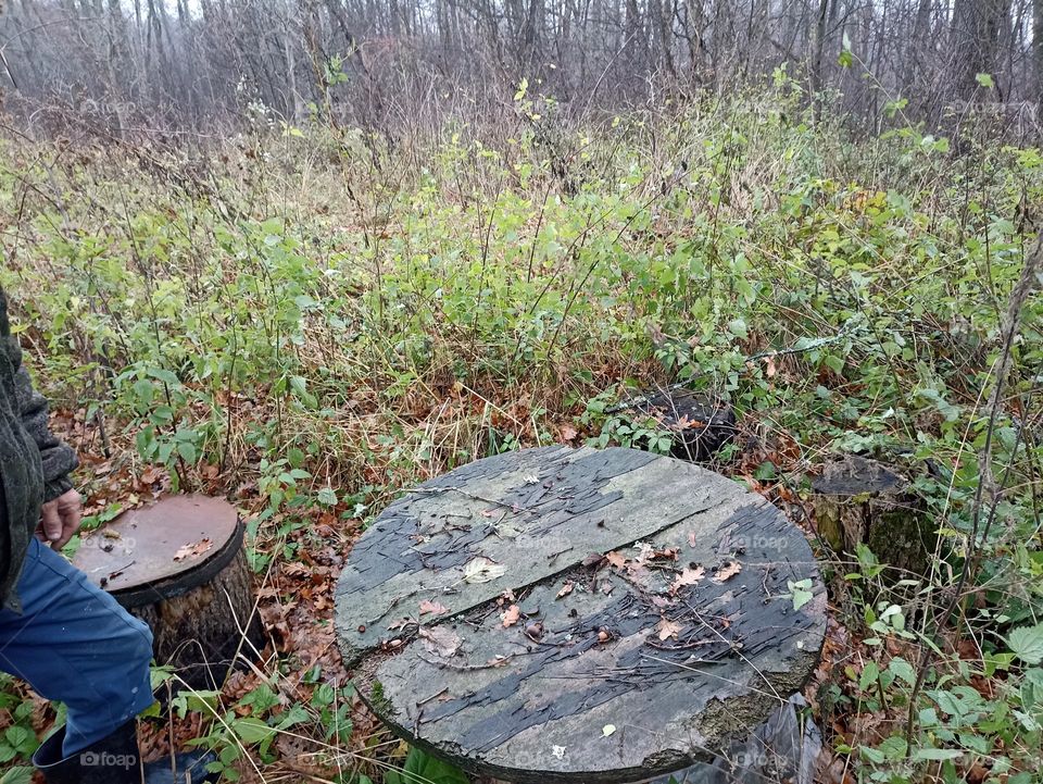 An old table in the forest