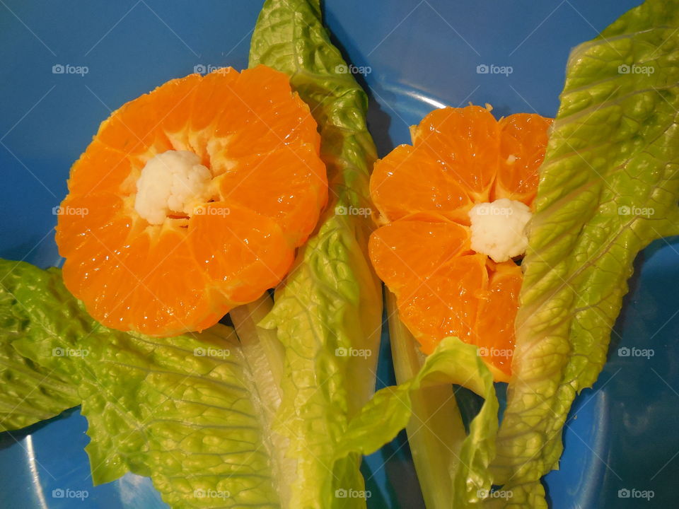 Clementine orange flowers romaine lettuce leaves blue background