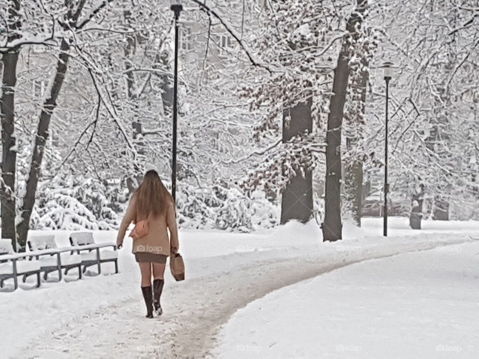 Walk in the winter snow