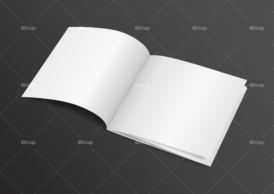 Blank open brochure illustration