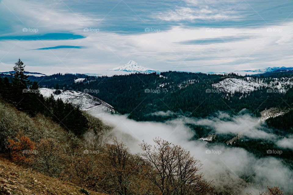 Moody Mountain View