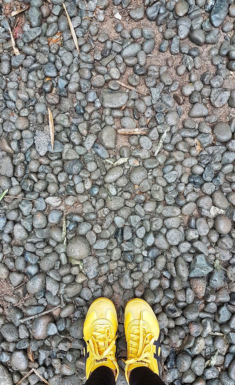 onitsuka tiger bruce lee shoes