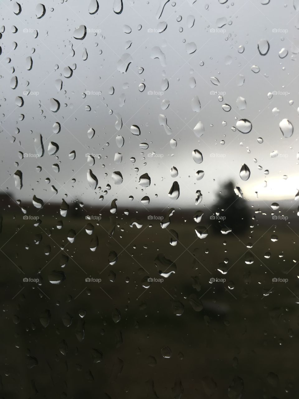 Raindrops on the window.