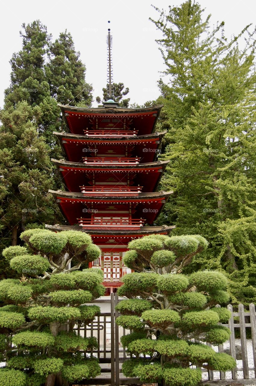 Japanese gardens San Francisco