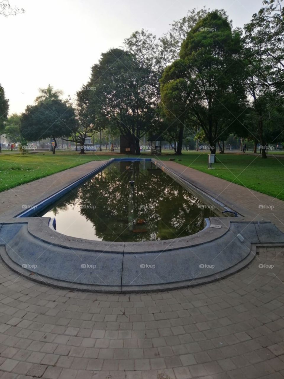 Beautiful park