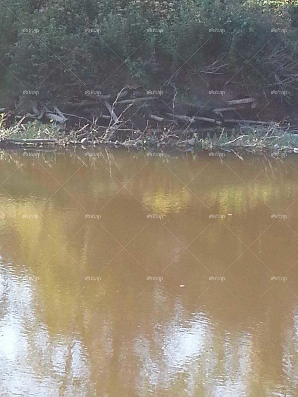 Water, Nature, Reflection, River, No Person