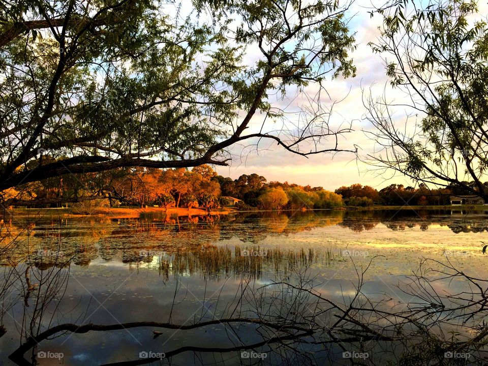 Lakeside view
