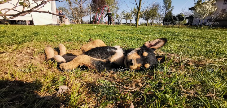 Sleeping on the ground