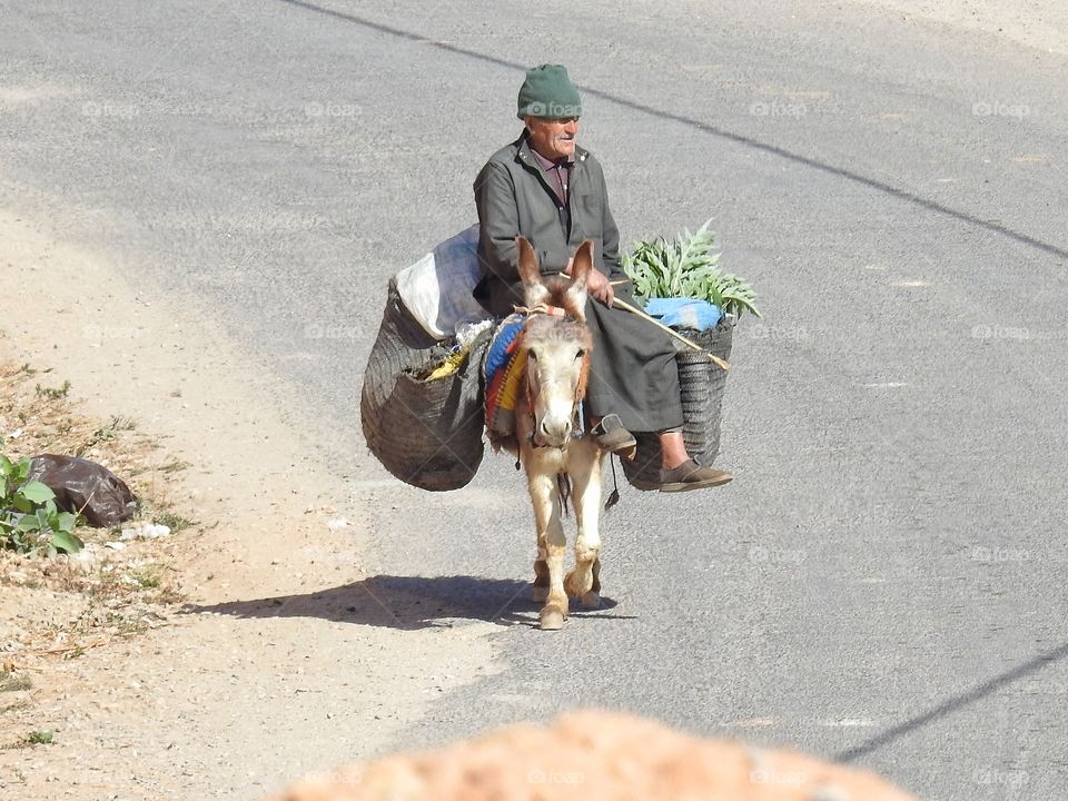 Along the road in Morocco