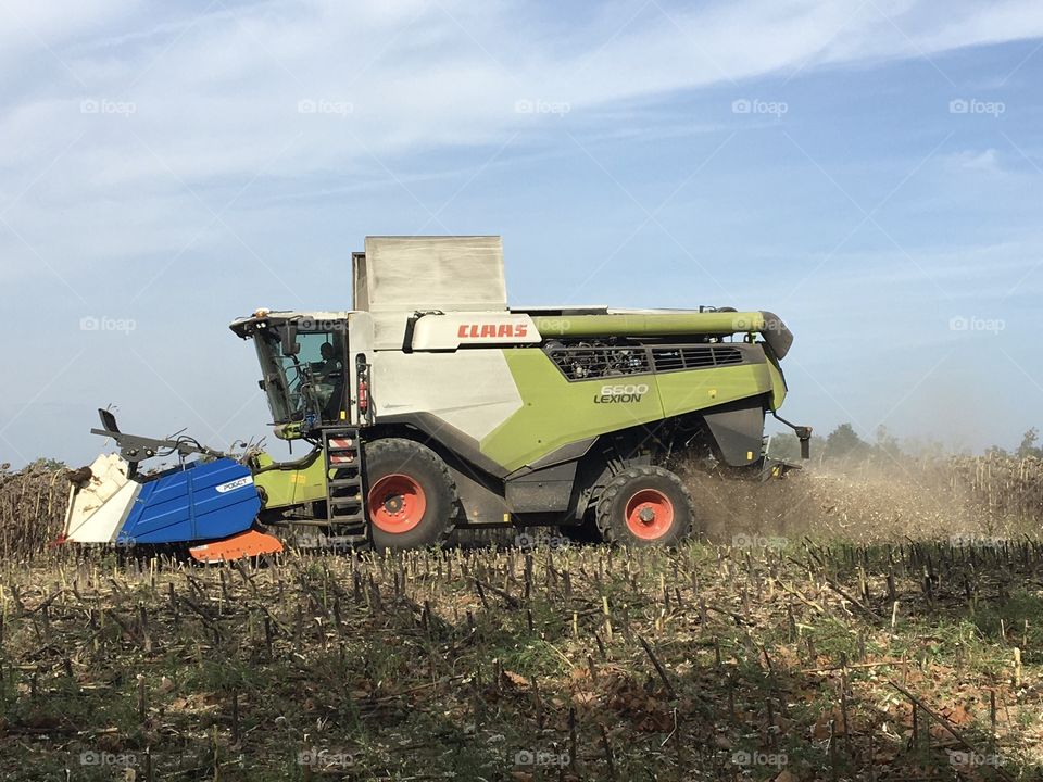 modern way to harvest corn in countryside 