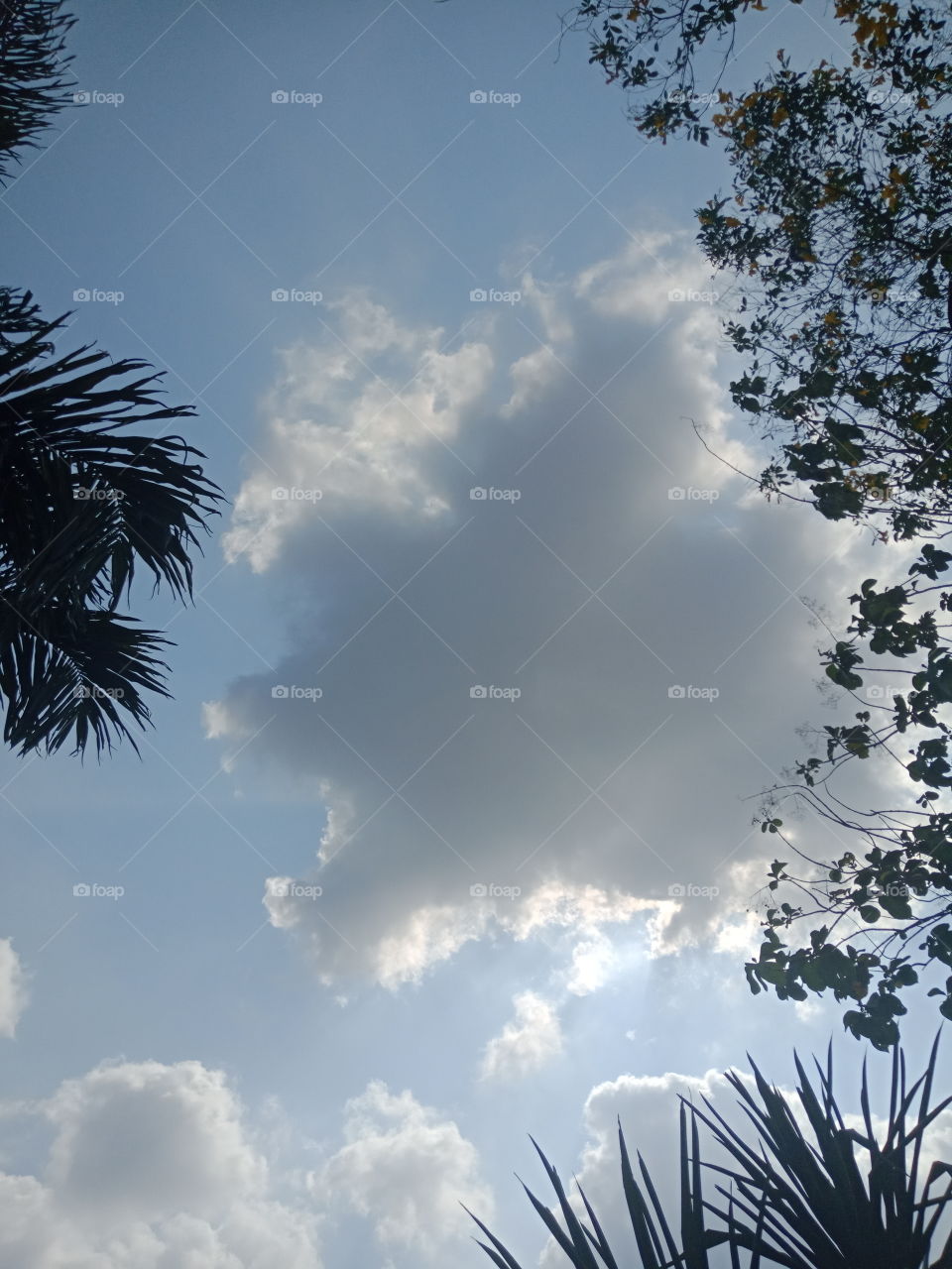 Clouds Hiding The Sun